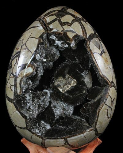 Huge, Septarian Dragon Egg Geode - Black Crystals #60364